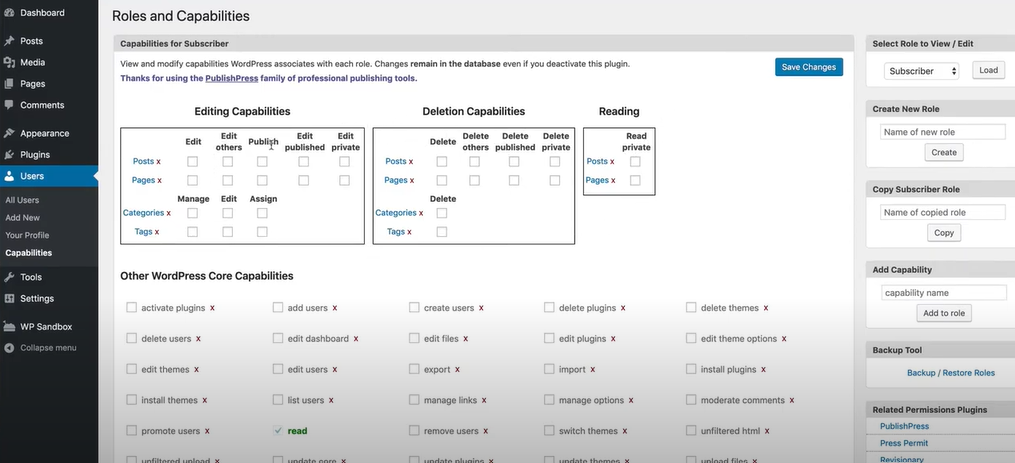 WordPress CMS Guide: Subscriber